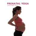 Prenatal Yoga Music Academy、Prenatal Yoga Music Ensemble - Aura Cleansing