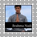 Shivayak Yogatham - Yoga Boosts Immune System