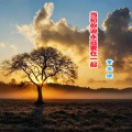 董英娜 - 当初你说要永远在一起 (Demo)