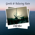 Recorder Rain、Rain In Spain、The Rain Gugu - Sounds Of The Night