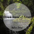 Baby Sleep Through the Night、Bird Sounds、Nature Therapy - Rain for Peace of Mind