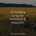 Native American Flute、Sleeping Baby Songs、Echoes Of Nature - Mirror