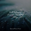 Deep Sleep Meditation、Trouble Sleeping Music Universe、Relaxing Spa Music - Pure Bliss Waves