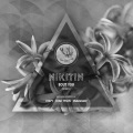 Nikitin - Bout You (Original Mix)