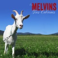Melvins - Doctor Mule