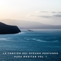 Relajación océano y olas、Calma、Meditaciones Espirituales - Spray Oceánico