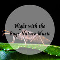 Relaxing Atmospheres、Sleep Music Library、Nature Rehab - Astral Forest