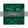 Sounds of Nature Relaxation - Reach High Sleep with Nature Sounds for Recharge