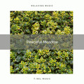Nature & Sounds Backgrounds - Gain Total Relax with Soothing Nature Tunes for Sleep pt. 1