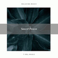 Nature Noise - Cicadas Songs and Lovely Meadow Songs for Hard Relax pt. 1