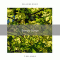 Relaxing Nature Sounds Collection - Reach Relax with Virgin Nature Noises for Recharge