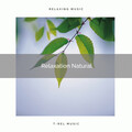 Sounds of Nature Relaxation - 