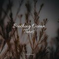Sleepy Times、Yoga Soul、Sleep Makers Samples - Lightly Sprinkling