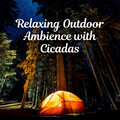 Soft Music、Relaxcation、Relaxing Chill Out Music - Relaxing Outdoor Ambience with Cicadas - 2 Hours