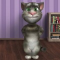 抓鱼大猫 - 爱后余生
