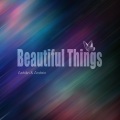 Ashilin - Beautiful Things (Ashilin remix)