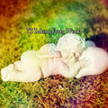 Rest & Relax Nature Sounds Artists - Wrapped In Comfort