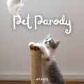 Pet Care Music Therapy、Pet Music、Dog Music Club - Vibes for Cat Relaxation