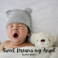 Baby Sleep TaTaTa、Natural Baby Sleep Aid Academy、Baby Lullabies For Sleep - Soundscape for Relaxation