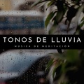 Sonidos De Lluvia y Tormentas、Meditaciones Espirituales、Lluvia - La Cámara De La Mente
