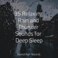 Deep Sleep FX、Sleeping Baby Songs、A Sudden Rainstorm - Birds Singing in the Forest