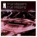 True Steppers、Dane Bowers、Victoria Beckham - Out of Your Mind
