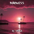 dj wayne - Madness