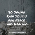 Sleepy Night Music、Massagem Guru、Rain Makers - Stream, Small, Birds, Close
