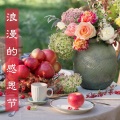 浪漫歌曲 - 爱之天