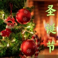 圣诞节 Holidays - 平安夜