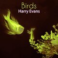 Harry Evans - Birds