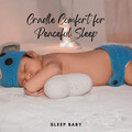 Baby Sleep Music Academy、Baby Lullabies For Sleep、Natural Baby Sleep Aid Academy - Holiday Lover Music