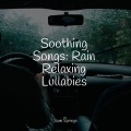 Trouble Sleeping Music Universe、White Noise Relaxation、The White Noise Zen & Meditation Sound Lab - Beach, Waves, Lapping, Medium