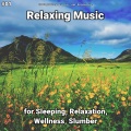 Relaxing Music by Darius Alire、Yoga、Relaxing Music - Music to Help You Fall Asleep