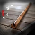 苏夏依 - 民族乐团-赞歌