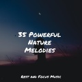 Relaxation Music Guru、Amazing Spa Music、Tinnitus Aid - Steady Walking