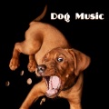 Sleepy Dogs、Dog Music Club、Dog Relaxation - Cloud Drums