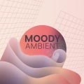 Inspirational Electronic Music Zone、Chillout Music Masters - Calm Odyssey