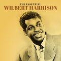 Wilbert Harrison - (This Will Have to Do) Until the Real Thing Comes Along