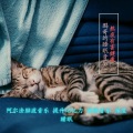 转身鹏哥 - 10.海港-国外高品质睡眠舒眠曲_阿尔法脑波音乐 提升记忆力 催眠音乐 深度睡眠