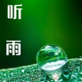 大脸喵 - 廊下听雨