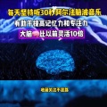 悠然酒酒 - 阿尔法脑波乐+提升记忆音乐