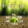 云上丝路_冷静叁分钟 - 冥想 瑜伽必听