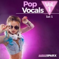 Abbey Scott - Turn It Up