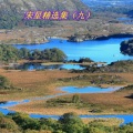 宋星、wen - 陆岛相思曲