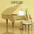 Harry Evans、Kelly Lerner - Birds (Violin)
