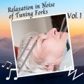 Sleep Music、Binaural Shapers、Naturalis - Quantum Session