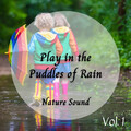 Sleeping Music、Chill Hop Lofi Study Beats、Relaxing Music for Stress Relief - Rainy Features