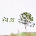 Bruit De La Mer、La Naturaleza Del Sueño、Naturgeräusche - Ambiance and Sounds of a Typical Summer Night in the Country Side