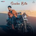 Maddy - Snake Bite